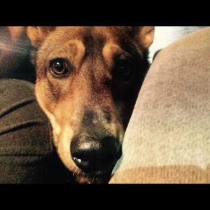 Meet your Posher, Jesus